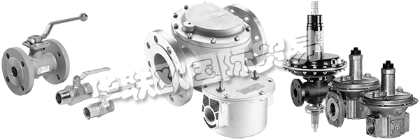 DUNGS是安全清潔氣體燃燒的同義詞,倡導(dǎo)與客戶緊密合作,