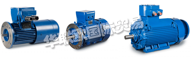 Regal成立于1954年，擁有CEMP?Srl，是意大利首批生產(chǎn)防爆防爆電機的公司之一。