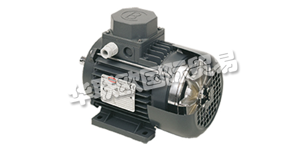 MOTORI BONORA成立于1945年，其業務逐步集中在異步電動機的生產上。  　　在這些年里，他們努力追隨市場的發展，加強他們制造商的使命，并高度重視產品和服務的質量。