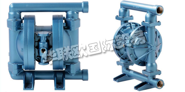 愛爾蘭BLAGDON PUMP主要產品：BLAGDON PUMP泵,水泵等。BLAGDON PUMP于20世紀50年代初由業主George Blagdon和George Flynn創立。該公司最初是一個小型工程車間，為當地煤田供應貨物。第一家公司位于英格蘭東北部歷史悠久的達勒姆市。