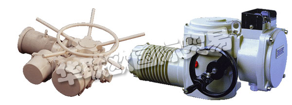 歐洲捷克ZPA-PECKY公司的產品主要有:ZPA PECKY執行器、ZPA PECKY電機、伺服電機、單回轉執行器、多回轉執行器、杠桿伺服電機、線性伺服電機、伺服電機的配置器、ZPM變速箱、Mastergear變速箱、單轉伺服電機、多圈伺服電機、推力伺服電機。