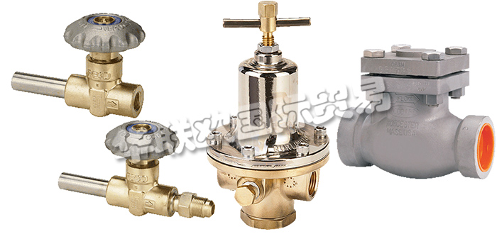 美國(guó)REGO公司主要供應(yīng)：美國(guó)REGO閥門(mén),REGO截止閥，低溫閥，止回閥，安全閥，閘閥，分流閥，減壓閥，調(diào)壓器等產(chǎn)品。