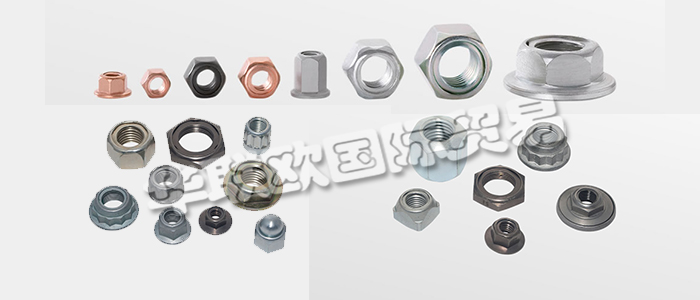 FLAIG+HOMMEL是世界知名的不銹鋼安全螺母制造商，幾十年來一直是國際汽車和鐵路行業的可靠合作伙伴。下文為您具體介紹FLAIG+HOMMEL安全螺母。