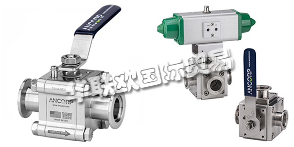 美國ANCORP公司主要供應:美國ANCORP閥門,ANCORP過濾器,真空閥,疏水閥,真空球閥,二通球閥,三通球閥,高電導球閥,顆粒分離器,螺栓,螺母,固定環,夾具等產品。